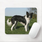 Tapis De Souris Position de border collie (Avec souris)