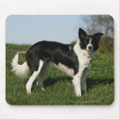 Tapis De Souris Position de border collie (Devant)