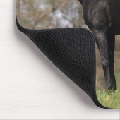 Tapis De Souris Position de cheval de pur sang (Coin)