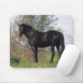 Tapis De Souris Position de cheval de pur sang (Avec souris)