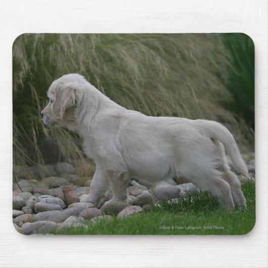 Tapis De Souris Position de chiot de golden retriever (Devant)