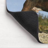 Tapis De Souris Position d'exposition canine de boxeur (Coin)