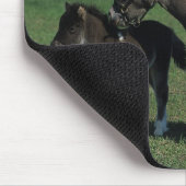 Tapis De Souris Position miniature de jument et de poulain (Coin)