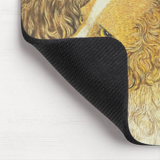 Tapis De Souris Possession (Coin)