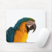 Tapis De Souris Post-it Notes perroquet (Avec souris)