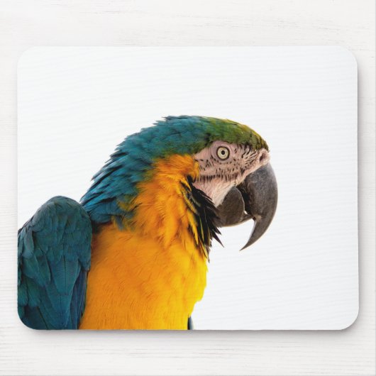 Tapis De Souris Post-it Notes perroquet (Devant)