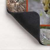 Tapis De Souris Poster Cheetah-Collage 001 (Coin)