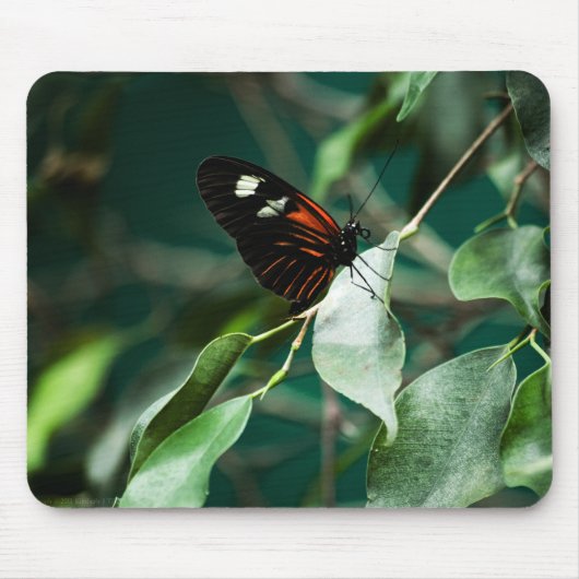 Tapis De Souris Postman 184 Mousepad (Devant)