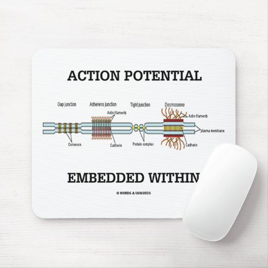 Tapis De Souris Potentiel d'action intégré dans (Junctions de cell (Avec souris)