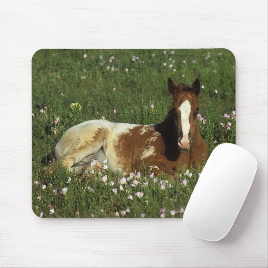 Tapis De Souris Poulain d'Appaloosa fixant en fleurs (Avec souris)
