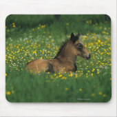 Tapis De Souris Poulain fixant en fleurs (Devant)