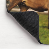Tapis De Souris Poulain Pur-Sang Alezan et Poulain (Coin)