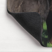 Tapis De Souris Poulains 1 de miniature (Coin)