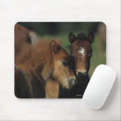 Tapis De Souris Poulains 2 de miniature (Avec souris)