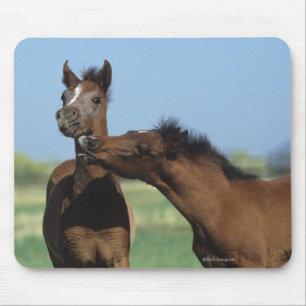 Tapis De Souris Poulains jouant 2