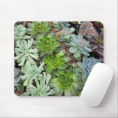 Tapis De Souris Poules et poussins plantes (Avec souris)