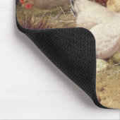 Tapis De Souris Poules roosting avec leurs poulets (Coin)