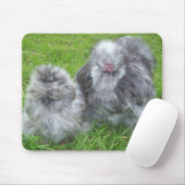 Tapis De Souris Poulet Mousepad de Silkie (Avec souris)