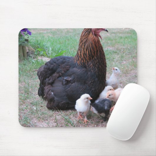 Tapis De Souris poulet, poussins, poulets, poussins, animal, oisea (Avec souris)