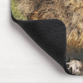 Tapis De Souris poulet toy (Coin)