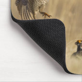 Tapis De Souris Poulets de prairie mâles à poitrine dans le comté (Coin)