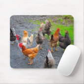 Tapis De Souris Poulets Mousepad (Avec souris)