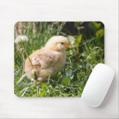 Tapis De Souris poulets, poulet, volaille (Avec souris)