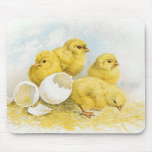 Tapis De Souris Poulets vintages pour bébés