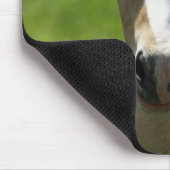 Tapis De Souris Pouliche (Coin)