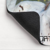 Tapis De Souris Pouliche de léopard (Coin)