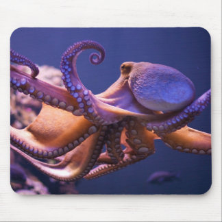 Tapis De Souris Poulpe Mousepad