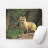 Tapis De Souris Poupe Renard Rouge devant la tanière (Vulpes vulpe (Avec souris)