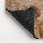 Tapis de souris pour Caniche roux (Coin)