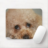 Tapis de souris pour Caniche roux (Avec souris)