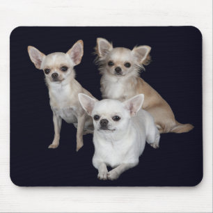 Tapis de souris pour chien Chihuahua bébé Amour
