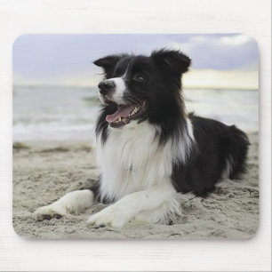 Tapis de souris pour chien chiot Border Collie