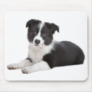 Tapis de souris pour chien chiot Border Collie Amo