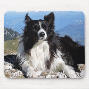 Tapis de souris pour chien chiot Border Collie noi