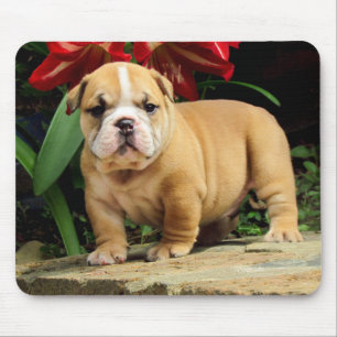 Tapis de souris pour chiot Bouledogue anglais Amou