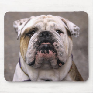 Tapis de souris pour chiot Bouledogue anglais Amou