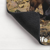 Tapis de souris pour supporter la faune de l'ourso (Coin)