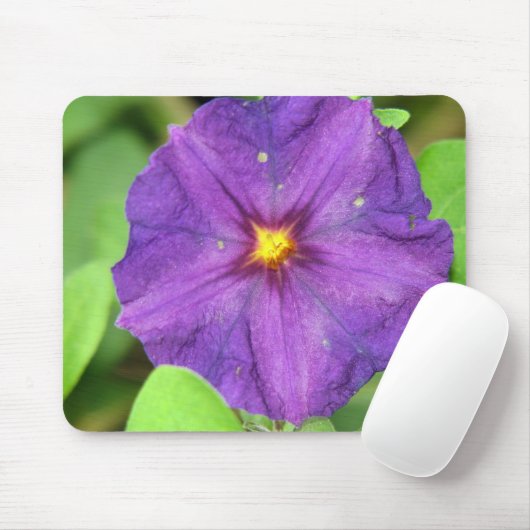 TAPIS DE SOURIS POURPRE (Avec souris)