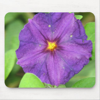 TAPIS DE SOURIS POURPRE