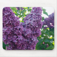 Tapis de souris pourpre de lilas