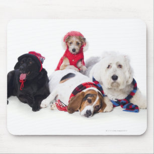 Tapis De Souris Poursuit les accessoires de port d'hiver