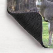 Tapis De Souris Pousse de cerf à queue blanche (Coin)