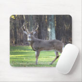 Tapis De Souris Pousse de cerf à queue blanche (Avec souris)