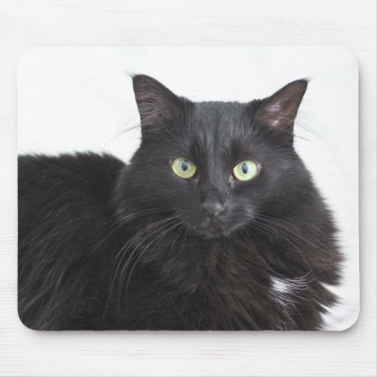 Tapis De Souris Poussière de chat noir (Devant)