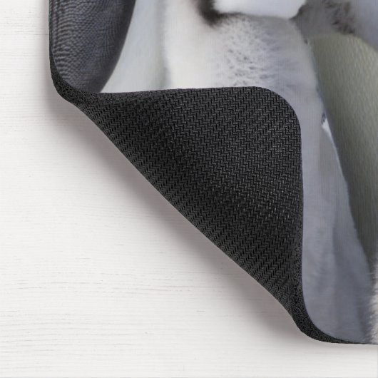 Tapis De Souris Poussin de pingouin d'empereur (Coin)