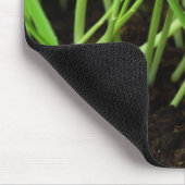 Tapis De Souris poussin d'herbe (Coin)
